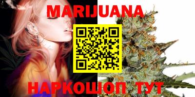 гашик Новозыбков