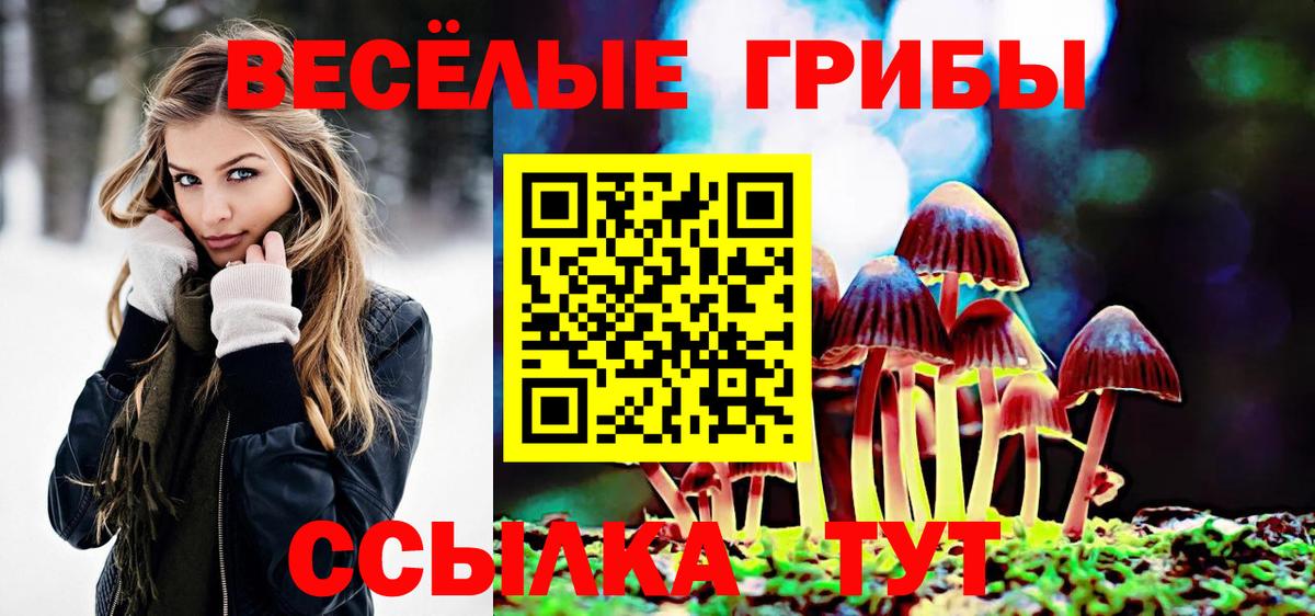 Псилоцибиновые грибы Psilocybine cubensis Сафоново